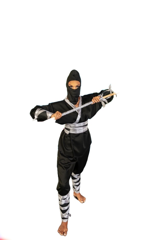 Kinetic Mas - 2024 - Costume - from the section Shinobi 