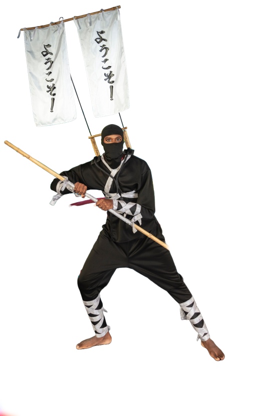 Kinetic Mas - 2024 - Costume - from the section Shinobi 