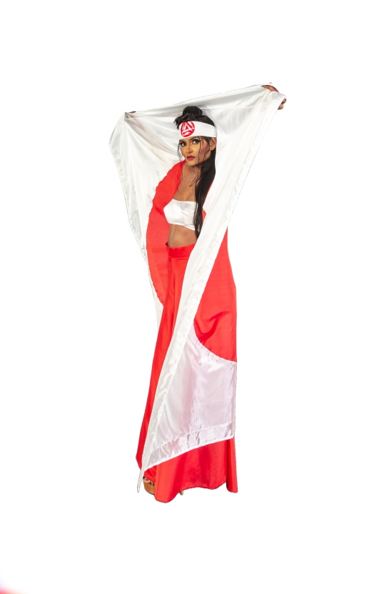 Kinetic Mas - 2024 - Costume - from the section The Flag 