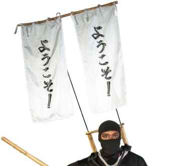 Kinetic Mas - 2024 - Costume - from the section Shinobi 